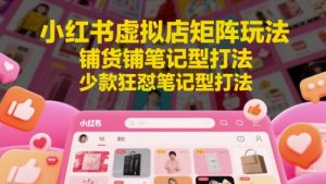 小红书虚拟店矩阵玩法，铺货铺笔记型打法，少款狂怼笔记型打法-沐风资源库