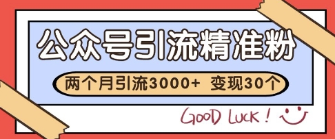 公众号精准粉引流玩法，2个月3000+精准粉，变现30个W【揭秘】-沐风资源库