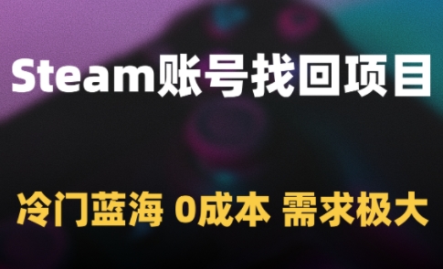 Steam账号找回项目，冷门蓝海，0成本，需求极大-沐风资源库