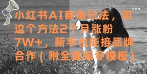 小红书AI商单玩法，用这个方法2个月涨粉7W+，新手也能接品牌合作(附全套指令模板)-沐风资源库