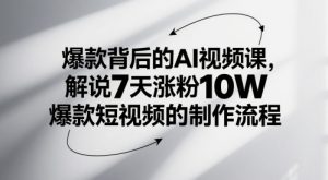 爆款背后的AI视频课，解说7天涨粉10W爆款短视频的制作流程-沐风资源库