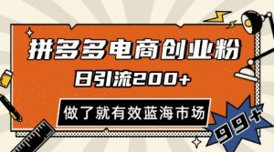 拼多多引流电商创业粉，日引200+，可矩阵放大，做了就有效【揭秘】-沐风资源库