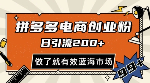 拼多多引流电商创业粉，日引200+，可矩阵放大，做了就有效【揭秘】-沐风资源库