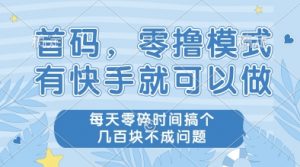 首码，零撸模式，有快手就可以做，每天零碎时间搞个几张不成问题【揭秘】-沐风资源库