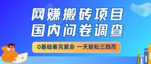 网创搬砖项目，国内问卷调查，小白轻松上手，一天三四张的也不难，干就完了【揭秘】-沐风资源库