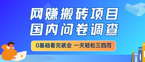 网创搬砖项目，国内问卷调查，小白轻松上手，一天三四张的也不难，干就完了【揭秘】-沐风资源库