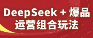DeepSeek+爆品运营组合玩法，2025淘系精品课-沐风资源库