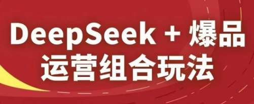 DeepSeek+爆品运营组合玩法，2025淘系精品课-沐风资源库