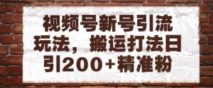 视频号新号引流玩法，搬运打法日引200+精准粉，可矩阵放大【揭秘】-沐风资源库