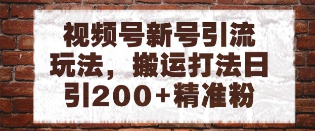 视频号新号引流玩法，搬运打法日引200+精准粉，可矩阵放大【揭秘】-沐风资源库
