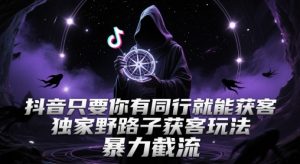 抖音只要你有同行就能获客，独家野路子获客玩法，暴力截流【揭秘】-沐风资源库