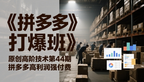 《拼多多打爆班》原创高阶技术第44期，拼多多高利润强付费-沐风资源库