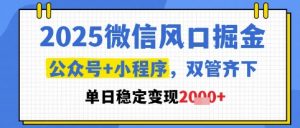 2025微信风口掘金，公众号+小程序双管齐下，单日稳定变现1k+【揭秘】-沐风资源库