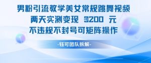 男粉引流教学美女常规跳舞视频两天实测变现1k+，不违规不封号可矩阵操作-沐风资源库