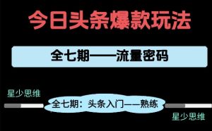 头条系列全七期项目拆解，全是干货，新手从0-1必经过程，99的人会踩的坑-沐风资源库