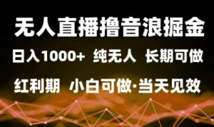 无人直播撸音浪掘金，日入1k+，纯无人红利期，小白可做，当天见效【揭秘】-沐风资源库