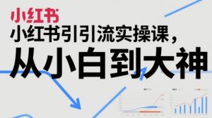 小红书引流实操课，从小白到大神-沐风资源库