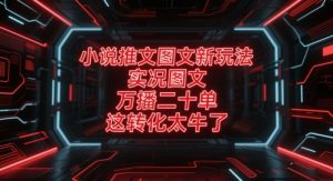 小说推文图文新玩法，实况图文，万播二十单，这转化太牛了！-沐风资源库
