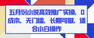 五月份小说高效推广实操，0成本，无门槛，长期可做，适合小白操作-沐风资源库