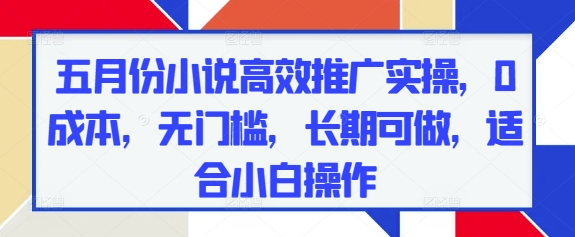 五月份小说高效推广实操,0成本,无门槛,长期可做,适合小白操作-沐风资源库