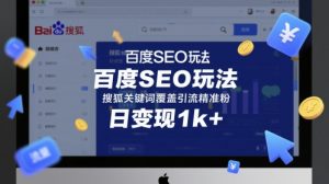 百度SEO玩法，搜狐关键词覆盖引流精准粉，日变现1k+【揭秘】-沐风资源库