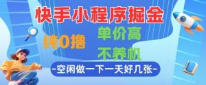 快手小程序掘金，纯0撸，单价高不养机 利用空闲时间做一做，一天好几张【揭秘】-沐风资源库