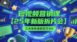 短视频营销课【25年新版拆片会】三大体系成就百万大V，包含正课、拆片会、手把手教学直播课等-沐风资源库