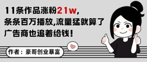 11条作品涨粉21W，条条百W播放，流量猛就算了，广告商也追着给钱-沐风资源库
