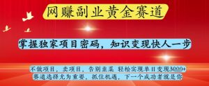 网创副业黄全赛道，掌握独家项目密码，知识变现快人一步，告别韭菜轻松实现单日变现1k+【揭秘】-沐风资源库