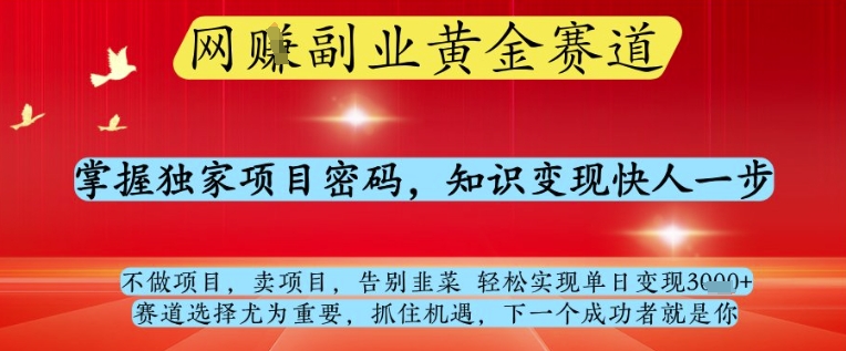 网创副业黄全赛道，掌握独家项目密码，知识变现快人一步，告别韭菜轻松实现单日变现1k+【揭秘】-沐风资源库