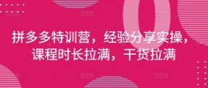 拼多多特训营，经验分享实操，课程时长拉满，干货拉满(更新25年4月)-沐风资源库
