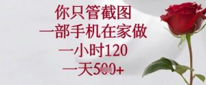 你只管截图，一部手机在家可以做，一小时120.一天5张+【揭秘】-沐风资源库