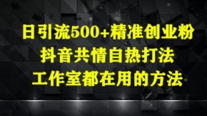 日引流500+精准创业粉，抖音共情自热打法，工作室都在用的方法-沐风资源库