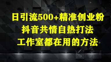 日引流500+精准创业粉，抖音共情自热打法，工作室都在用的方法-沐风资源库