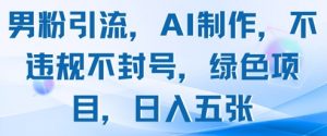 男粉引流，AI制作，不违规不封号，绿色项目，日入五张-沐风资源库