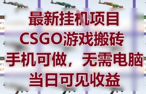 最新挂G项目，CSGO游戏搬砖，手机可做，无需电脑，当日见收益【揭秘】-沐风资源库