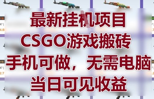 最新挂G项目，CSGO游戏搬砖，手机可做，无需电脑，当日见收益【揭秘】-沐风资源库