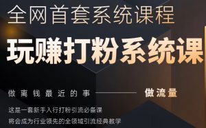 2025行业首套全网全域打粉系统神课，做流量做离钱最近的事，一套新手入行打粉引流必备课-沐风资源库