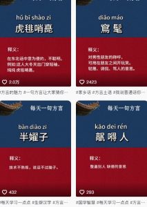 抖音最新涨粉玩法，图文方言暴力涨粉实操，126作品涨粉11W-沐风资源库