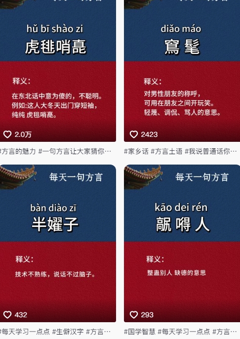 抖音最新涨粉玩法，图文方言暴力涨粉实操，126作品涨粉11W-沐风资源库
