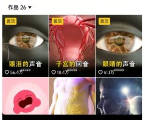 抖音坚果3D动画科普项目，撸视频号分成和抖音伙伴计划，适合零基础小白-沐风资源库
