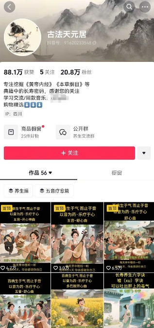 古法五音养生教程，五音疗愈的视频的制作方法，2-4小时就能学会，作者10天涨粉10W-沐风资源库