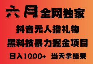 25年6月抖音无人直播最新暴力撸音浪掘金，小白可做，可批量矩阵放大，长期稳定日入1k+【揭秘】-沐风资源库