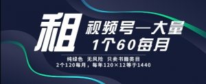 租视频号，一个60每月，2个120.纯绿色、无风险，常年租【揭秘】-沐风资源库