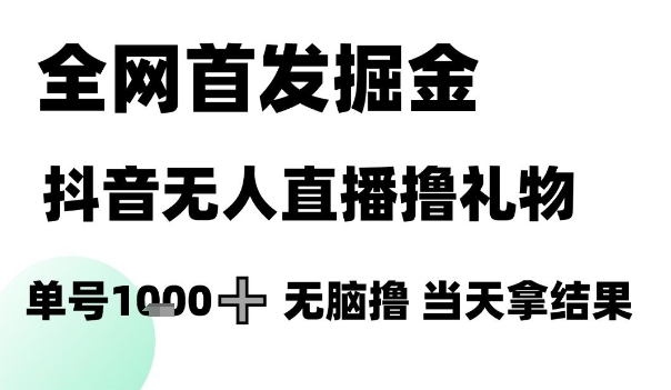 全网首发掘金抖音无人直播撸礼物，单号1k +无脑撸，当天拿结果【揭秘】-沐风资源库