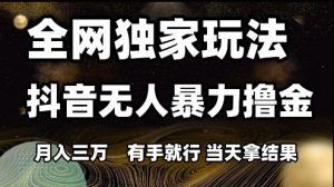 全网独家玩法抖音无人暴力撸金，月入3W，有手就行，当天拿结果【揭秘】-沐风资源库