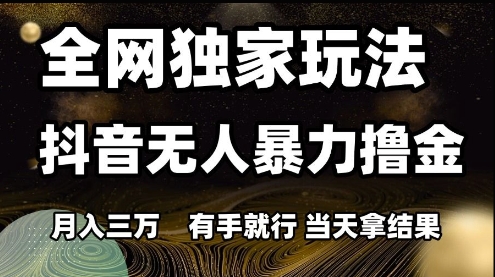 全网独家玩法抖音无人暴力撸金，月入3W，有手就行，当天拿结果【揭秘】-沐风资源库