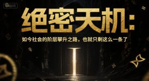 付费文章：绝密天机：如今社会的阶层攀升之路，也就只剩这么一条了-沐风资源库