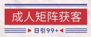 小红书某音橙人赛道引流获客，自热矩阵日引200+【揭秘】-沐风资源库