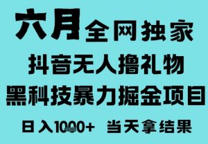 25年6月高爆抖音无人直播最新撸音浪掘金项目，门槛低小白可做，无脑日入1k，可矩阵放大【揭秘】-沐风资源库